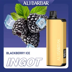 Alibarbar Ingot Blackberry Ice 9000 Puffs