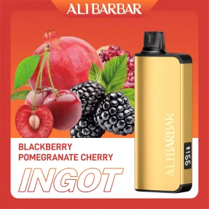 Alibarbar Ingot Blackberry Pomegranate Cherry 9000 Puffs