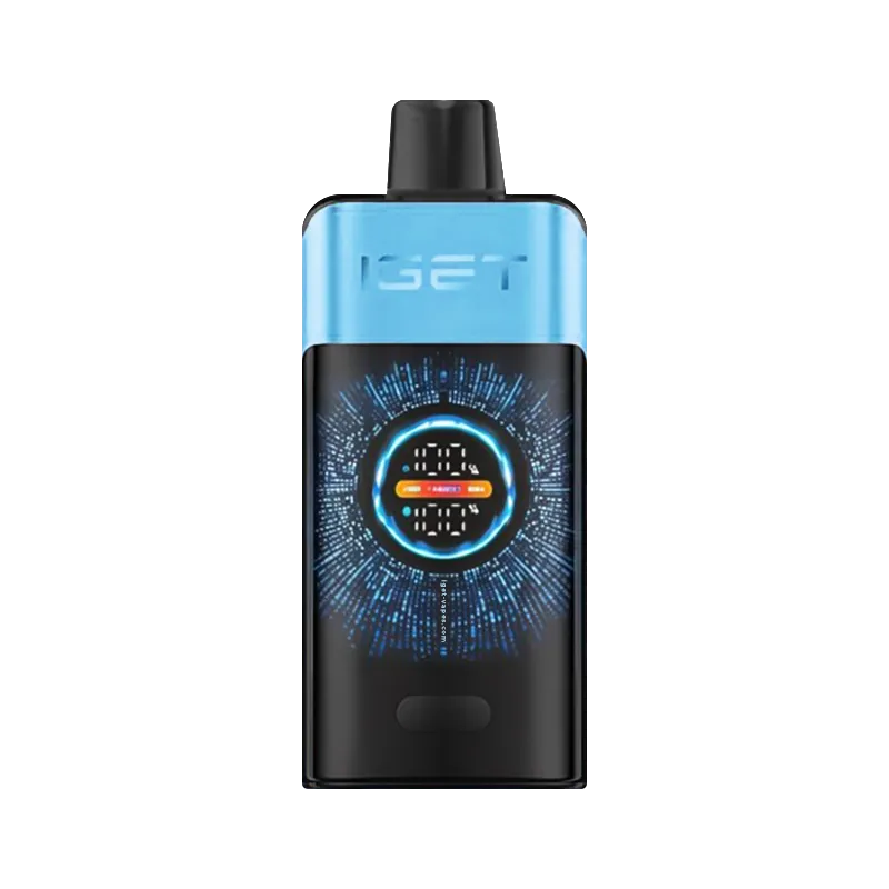IGET ONE Blueberry Ice 12000 Puffs